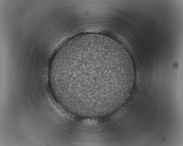 X0000114590354200911161336