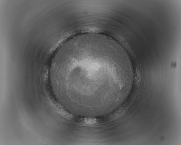 X0000114590355200911161336