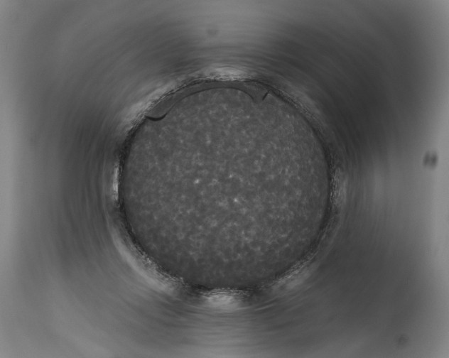 X0000114590358200911161336