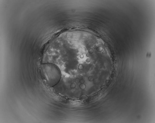 X0000114590359200911161336