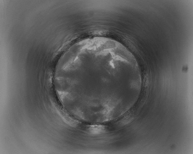 X0000114590363200911161336