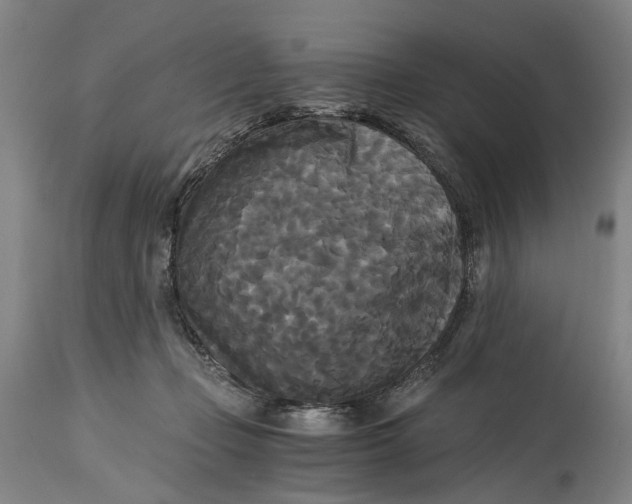 X0000114590365200911161336