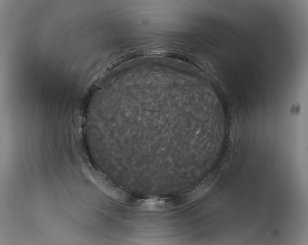 X0000114590366200911161336