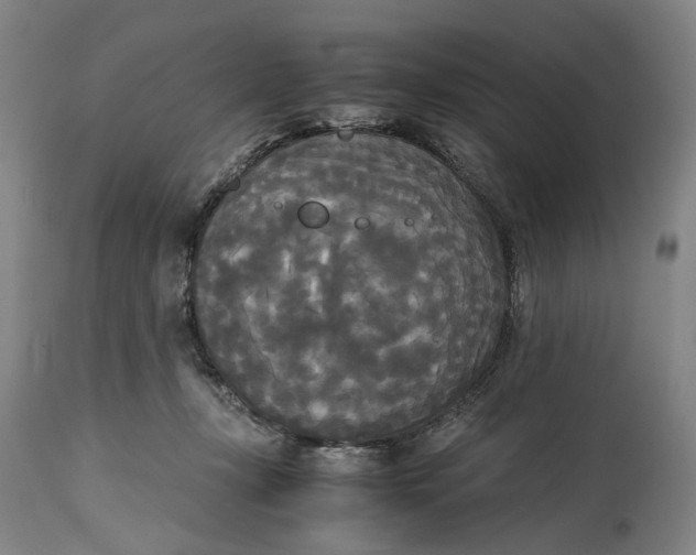 X0000114590367200911161336