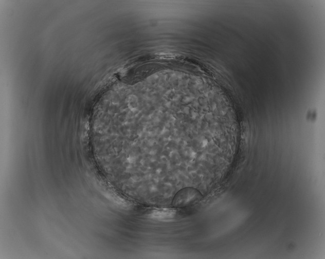 X0000114590369200911161336