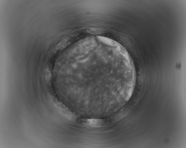 X0000114590371200911161337