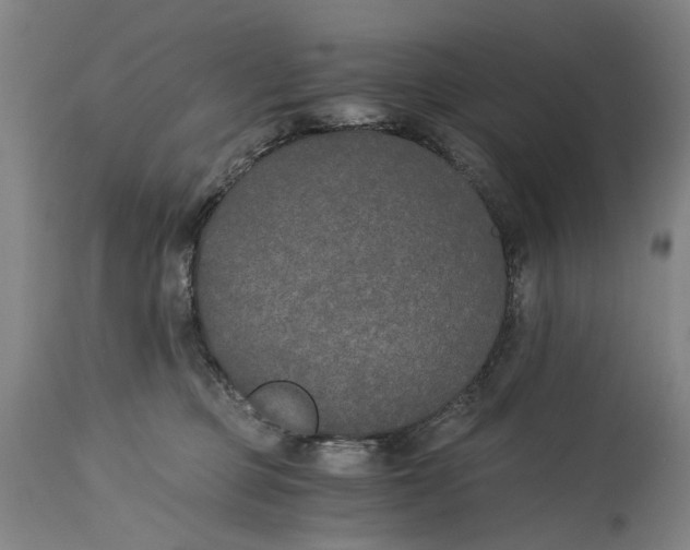 X0000114590373200911161337