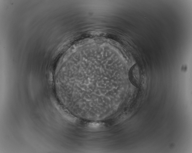 X0000114590375200911161337