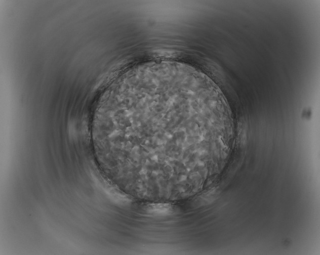 X0000114590377200911161337