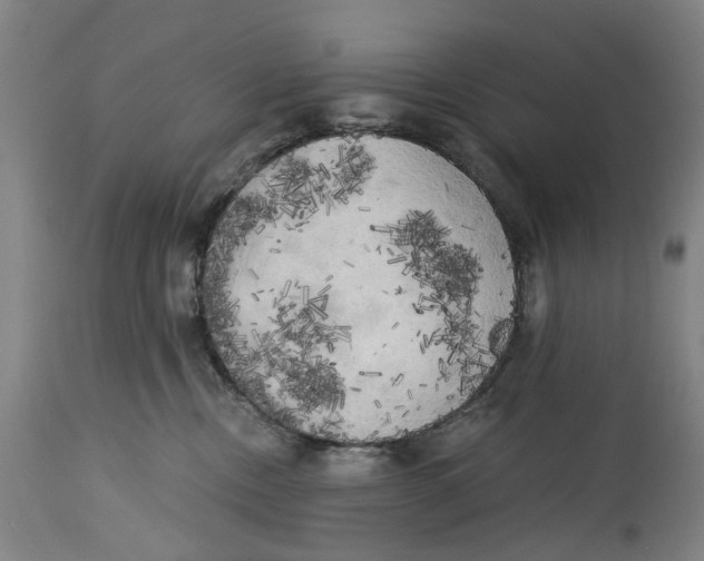 X0000114590378200911161337