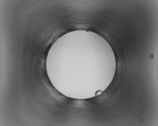 X0000114590379200911161337