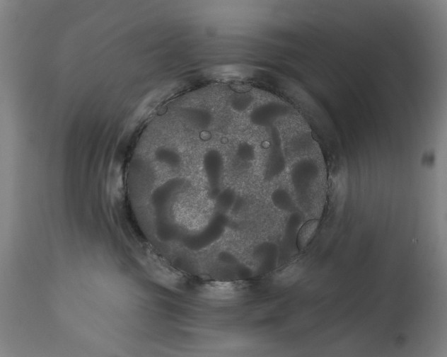 X0000114590381200911161337