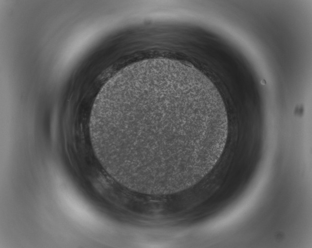 X0000114590382200911161337