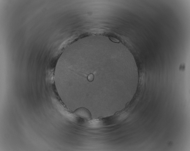 X0000114590383200911161337