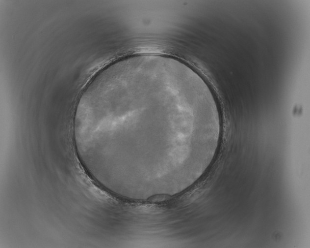 X0000114590385200911161336