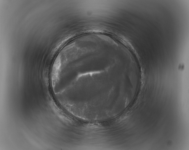 X0000114590386200911161336