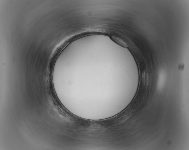 X0000114590388200911161336