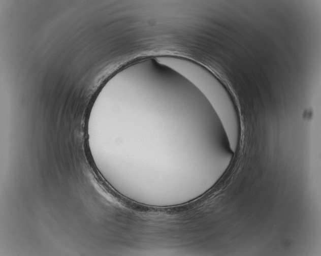 X0000114590389200911161336