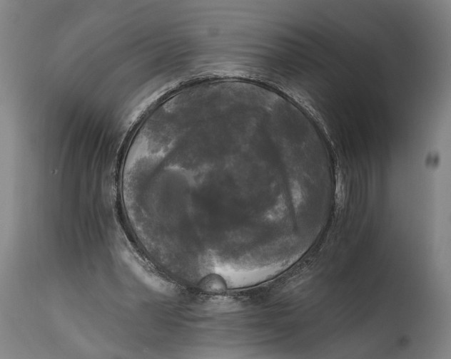 X0000114590390200911161336