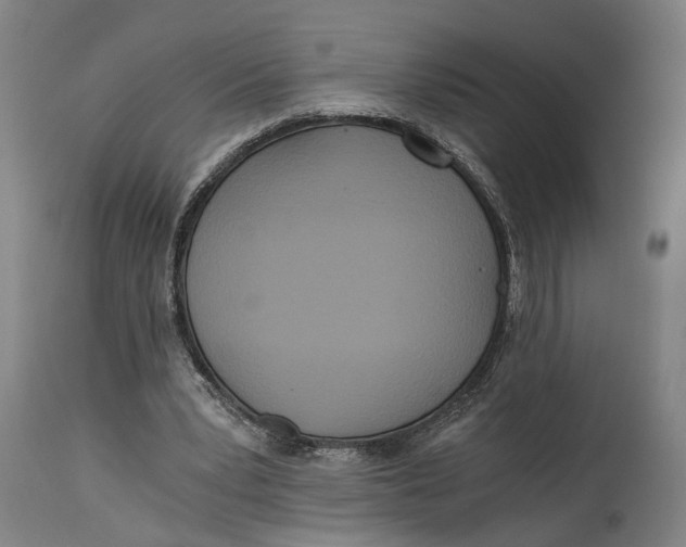 X0000114590391200911161336