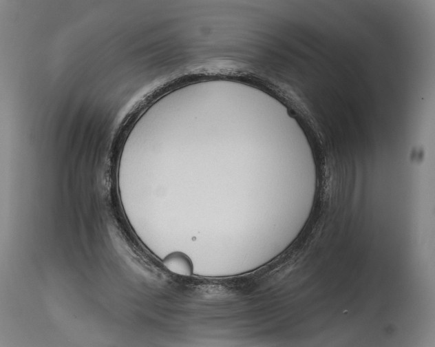 X0000114590392200911161336