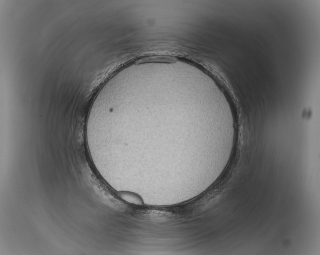 X0000114590393200911161336