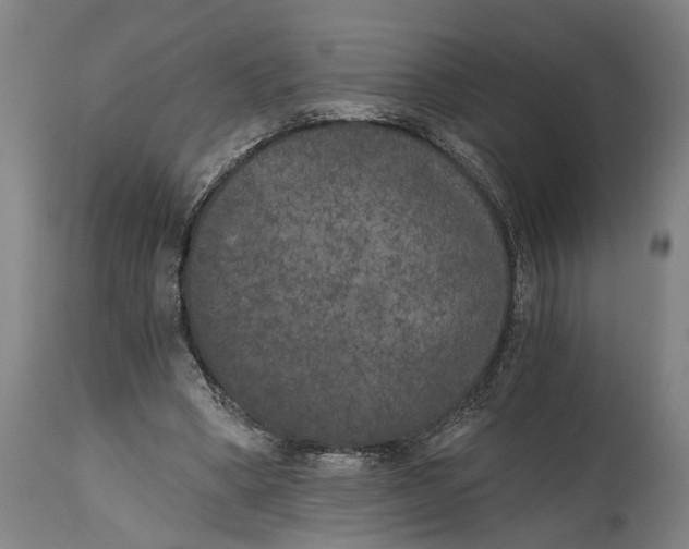 X0000114590394200911161336