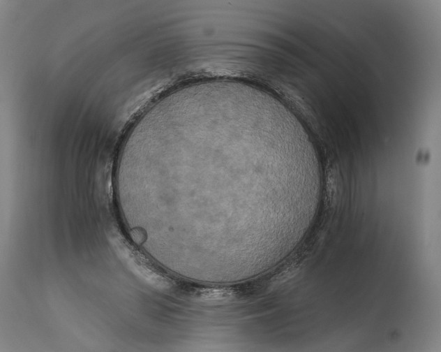 X0000114590398200911161336