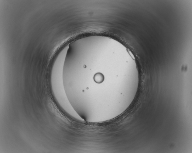 X0000114590399200911161336