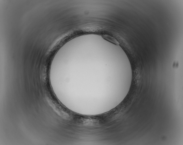 X0000114590400200911161336