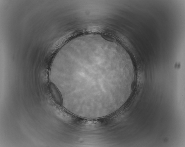 X0000114590401200911161336