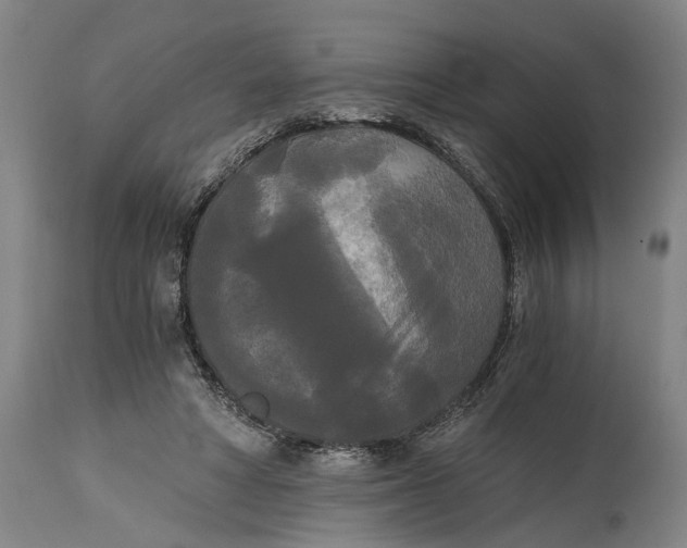 X0000114590402200911161336