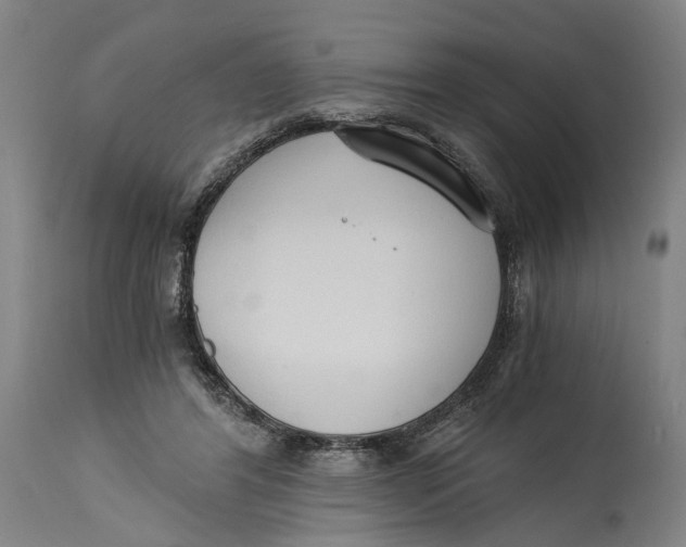 X0000114590404200911161336