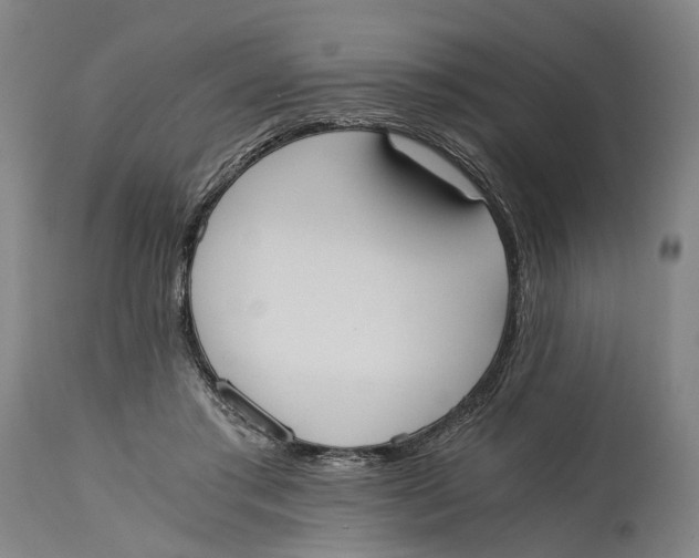 X0000114590405200911161336