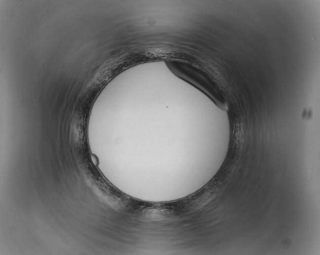 X0000114590408200911161336