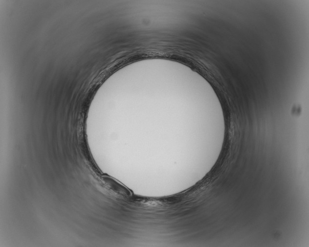 X0000114590409200911161336