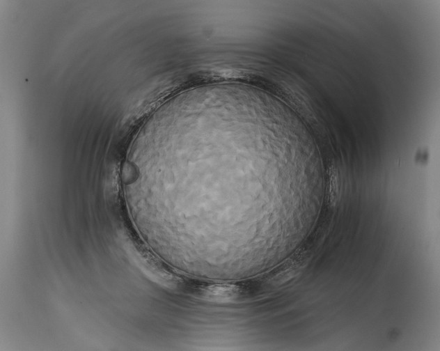 X0000114590410200911161336