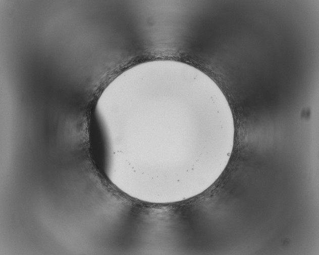 X0000114590411200911161336