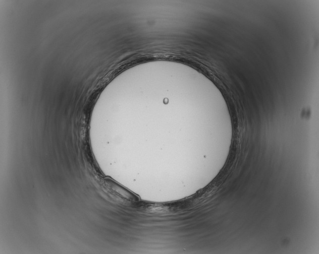 X0000114590413200911161336