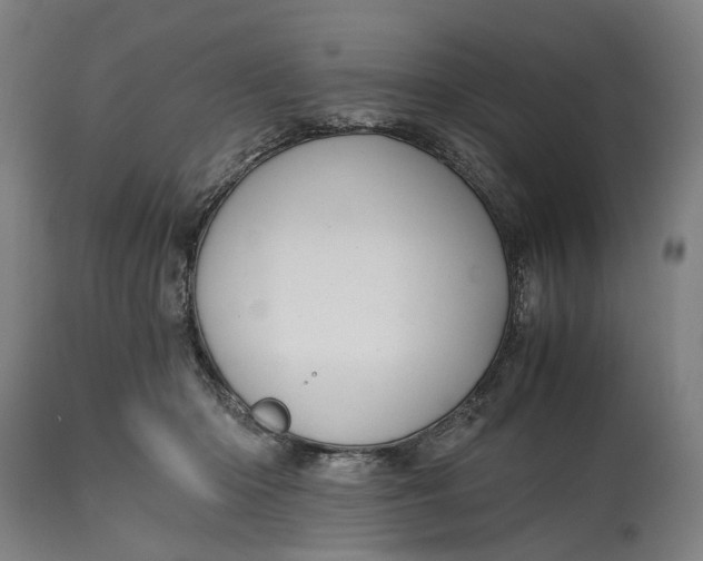 X0000114590414200911161336