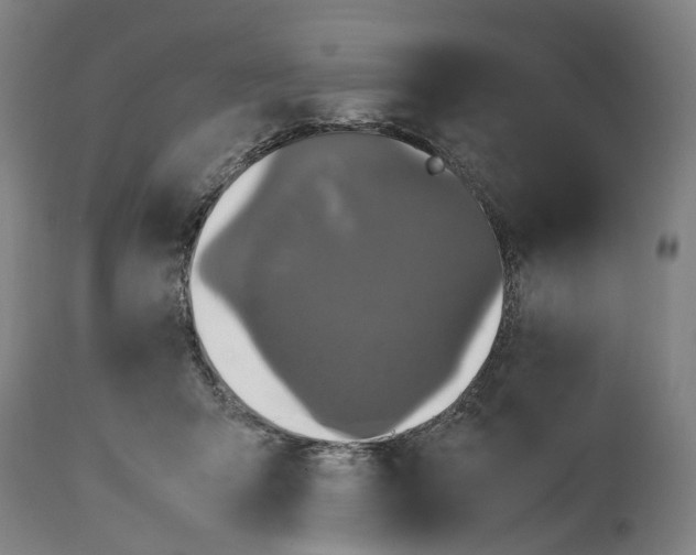 X0000114590415200911161336