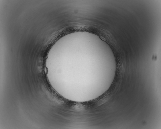 X0000114590416200911161336