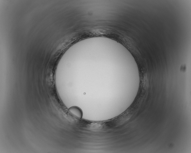 X0000114590418200911161336