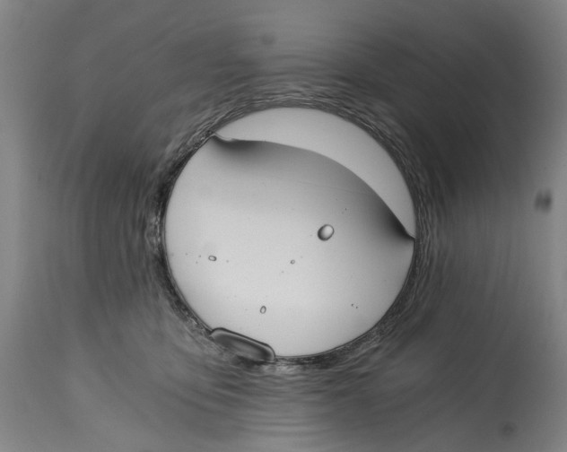 X0000114590419200911161336