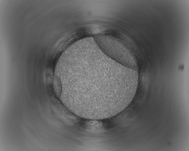 X0000114590421200911161336