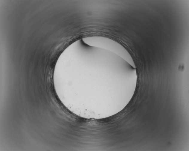 X0000114590423200911161336