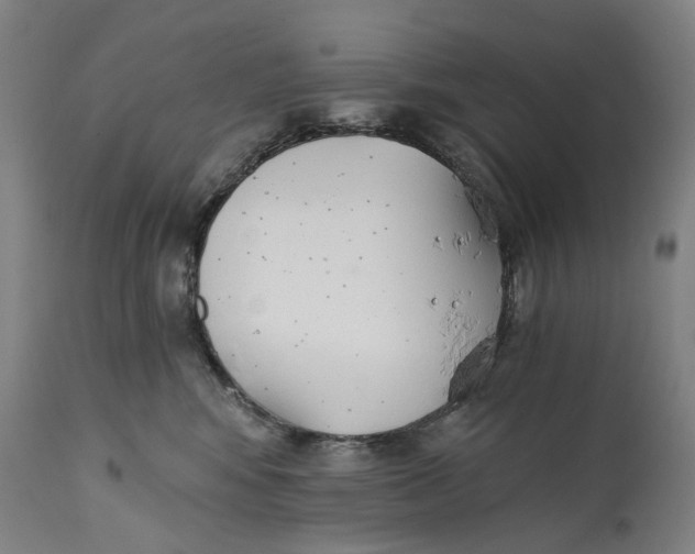 X0000114590424200911161336