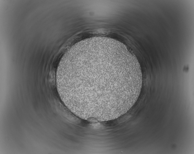 X0000114590425200911161335