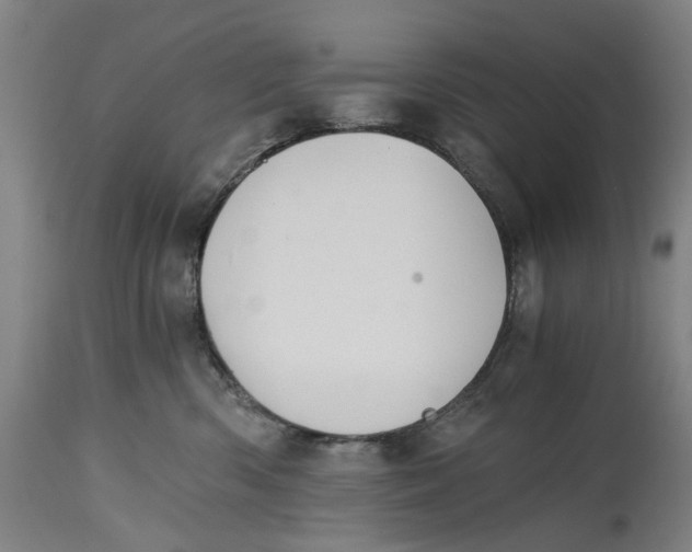 X0000114590426200911161335