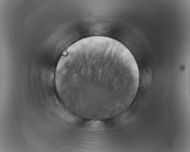 X0000114590427200911161335